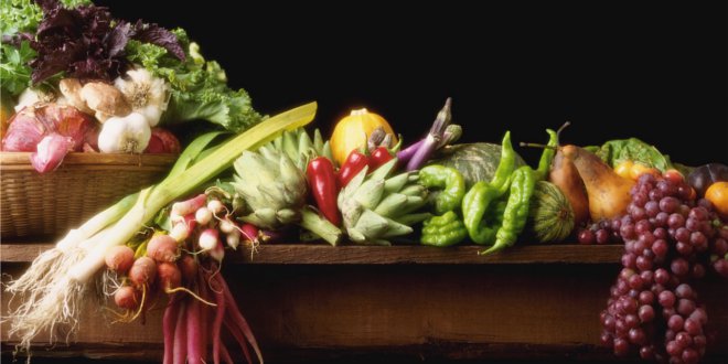 Aaldmon Organic Farm, Lake Worth, Florida