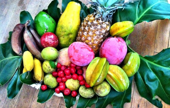 Excalibur Fruit Tree Farm, Lake Worth, Florida