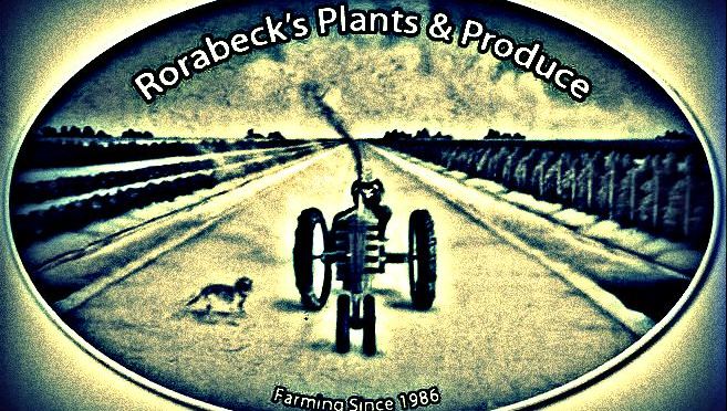 Rorabeck’s Plants and Produce, Lake Worth, FL